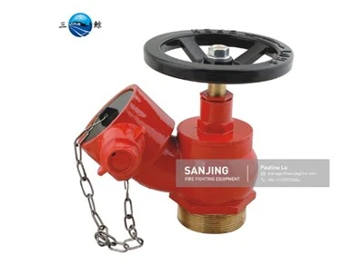 British Standard Indoor Hydrant