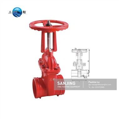 Grooved End Gate Valve