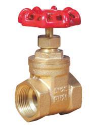 Bronze NRS Gate Valve-8544033