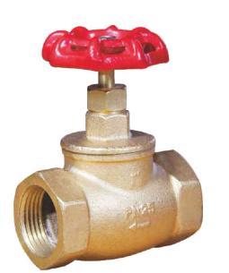 Bronze Globe Valve-8544034