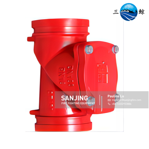 Grooved check valve Grooved check valve